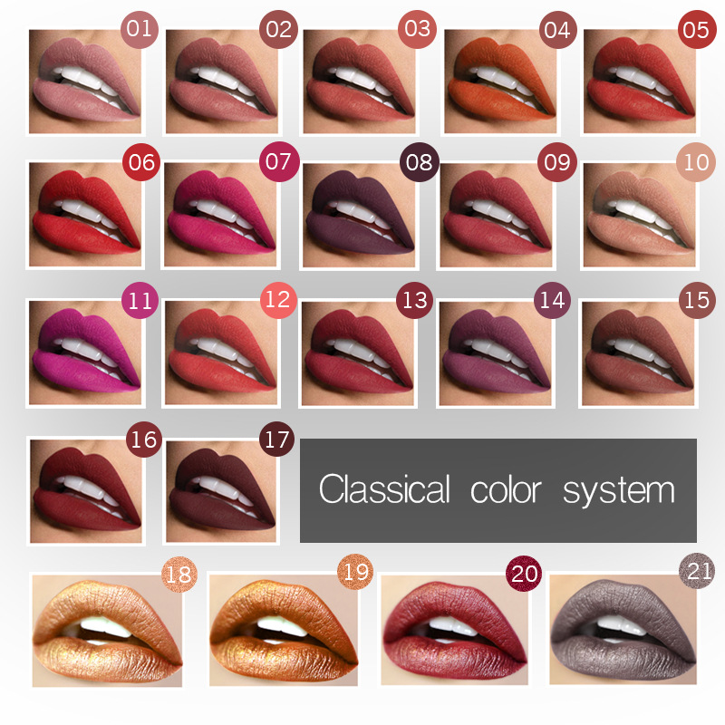 Hot selling Pudaier 21 color matte matte matte liquid lipstick, lip gloss, lip gloss, and non fading lip gloss