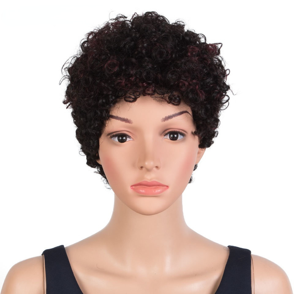 European, American, African, all-real hair headgear, wig, Xuchang, short curls, human hair wigs